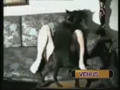 A lustful housewife is railed by the household dog.